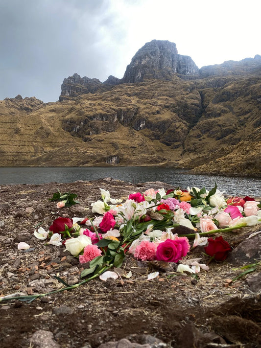 October Plant Medicine Retreat — RoseGoldPulse